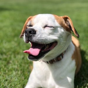 Meet your Posher, Hali